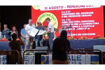 Concorso del Peperone di Carmagnola